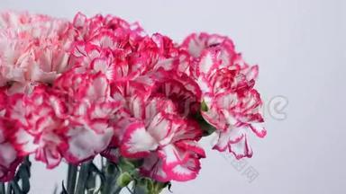 特写，花卉，花束，旋转，花卉组成由柔和的<strong>浅粉</strong>色土耳其康乃馨